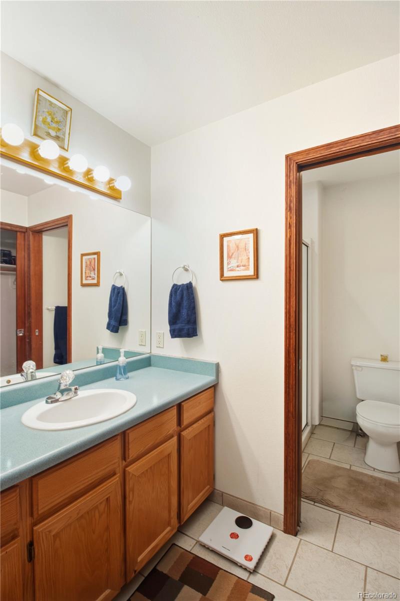 MLS Image #10 for 233  lupine drive ,new castle, Colorado