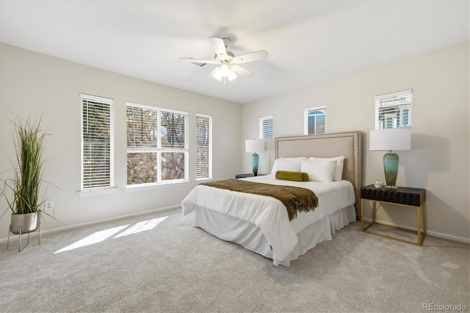 MLS Image #21 for 10141  autumn blaze trail,highlands ranch, Colorado