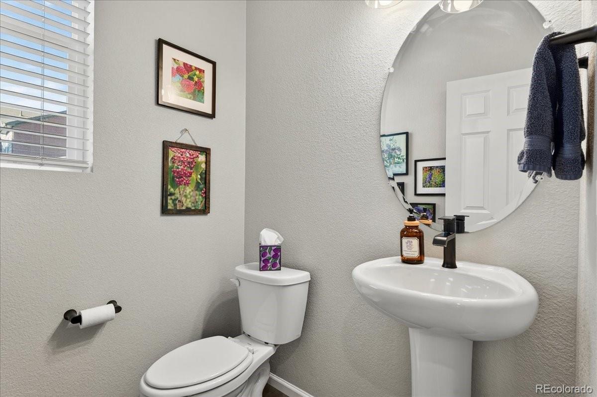MLS Image #17 for 9793  banner peak loop,littleton, Colorado