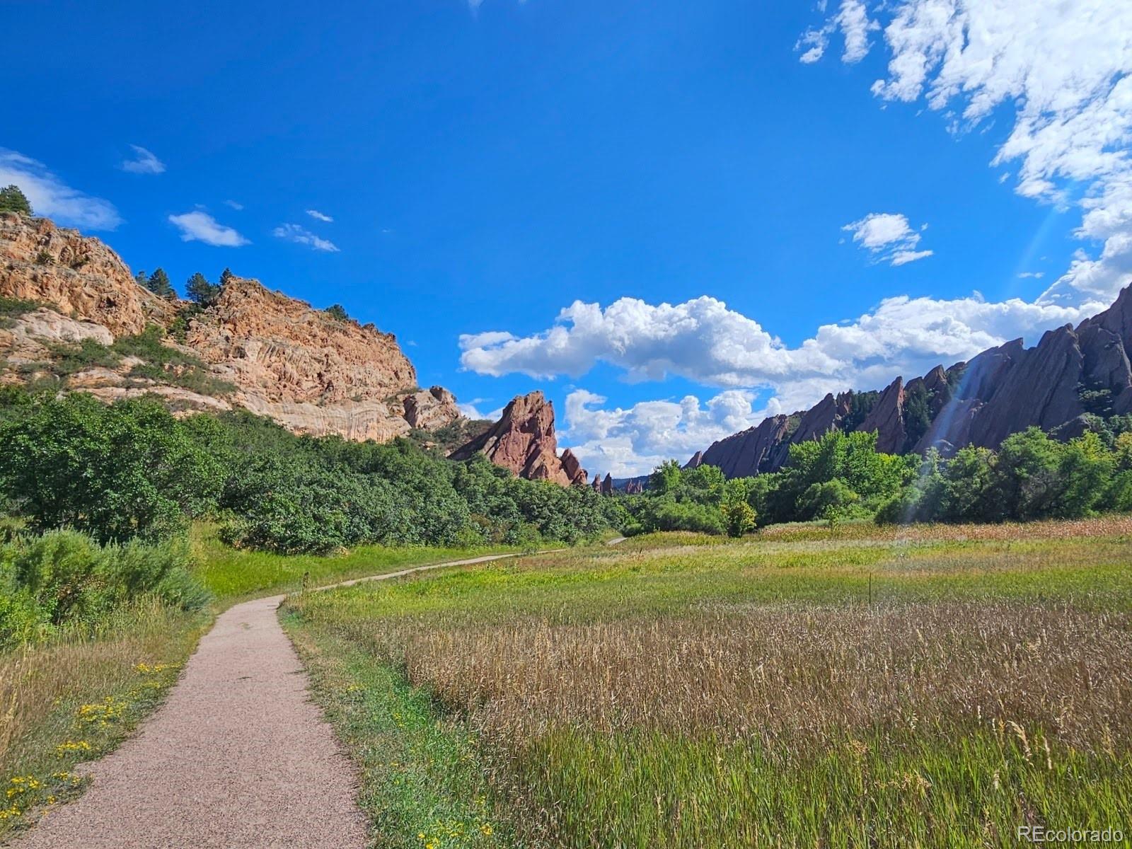 MLS Image #2 for 9793  banner peak loop,littleton, Colorado