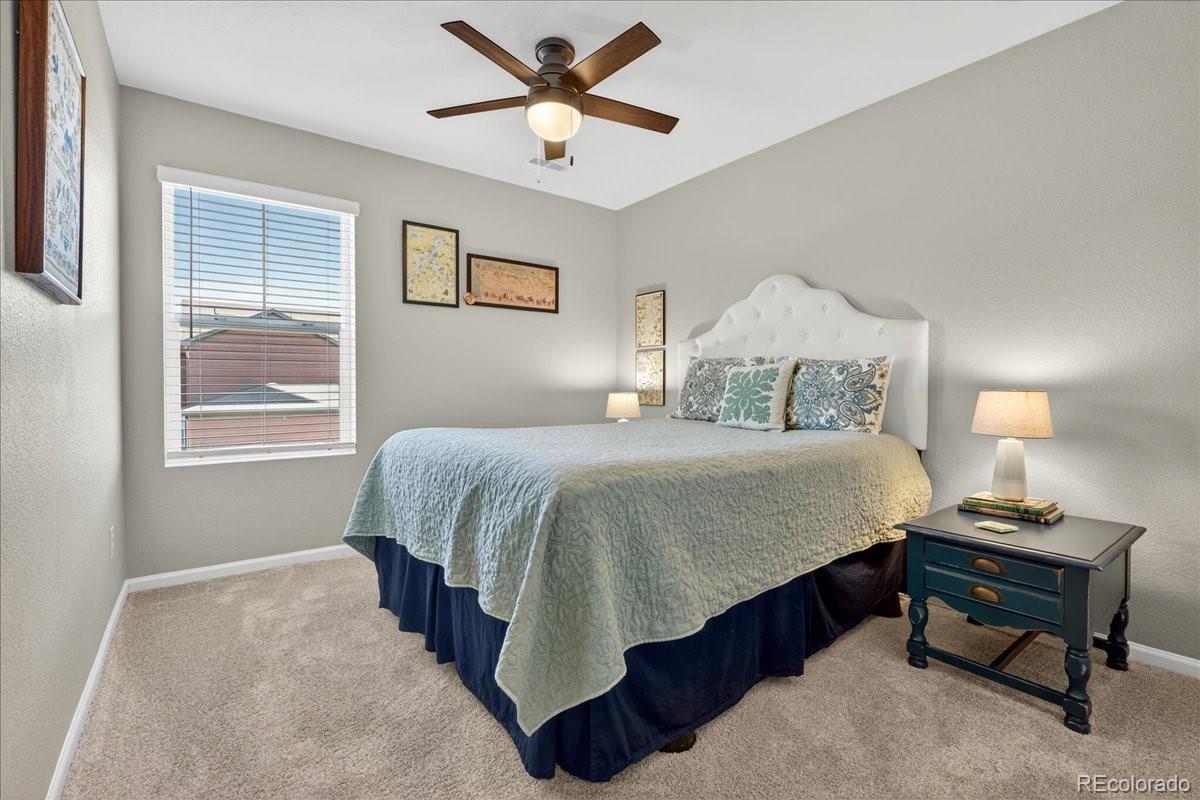 MLS Image #21 for 9793  banner peak loop,littleton, Colorado