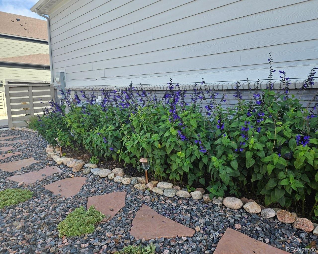 MLS Image #40 for 9793  banner peak loop,littleton, Colorado
