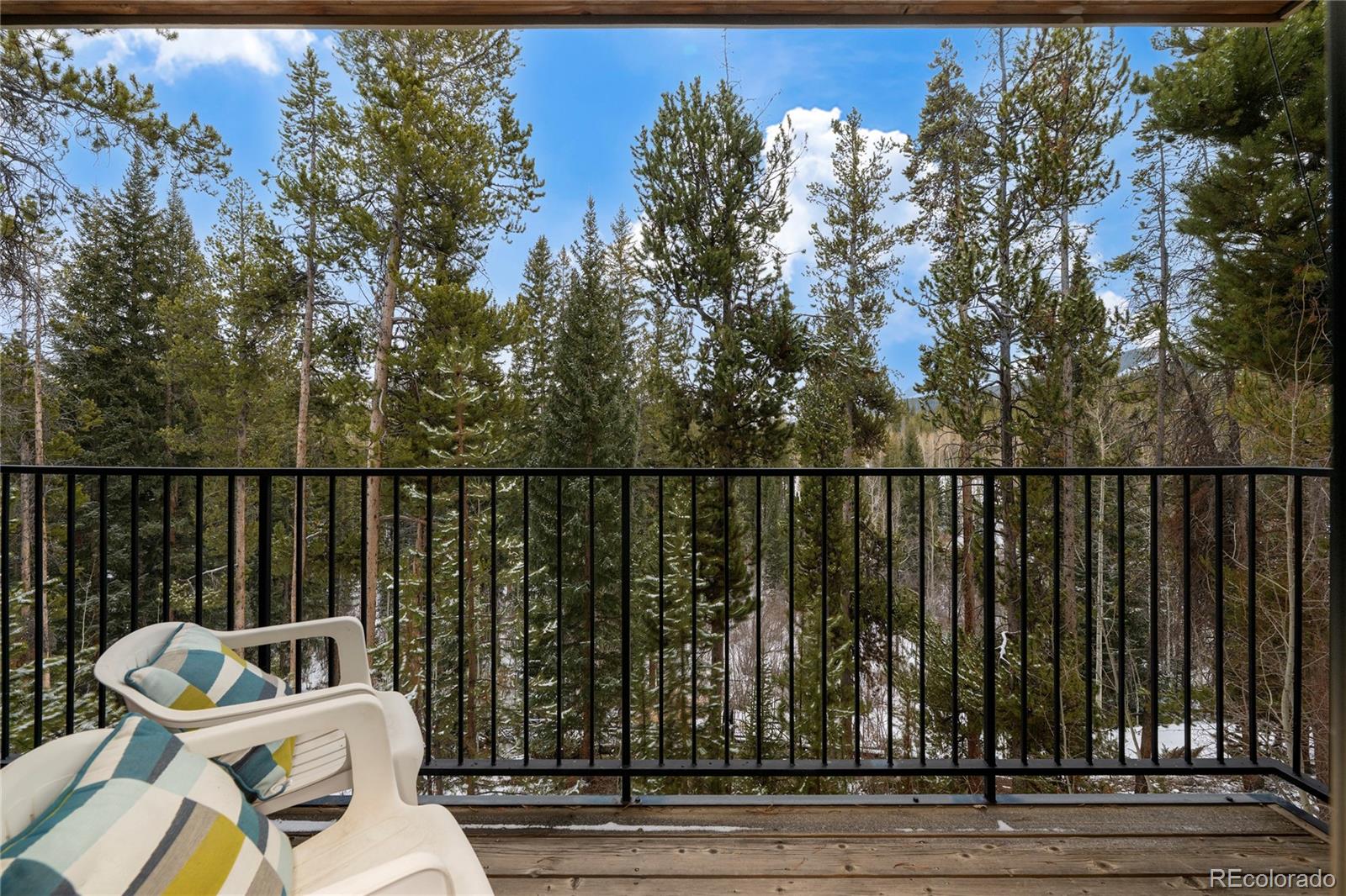 MLS Image #23 for 220  village drive,winter park, Colorado