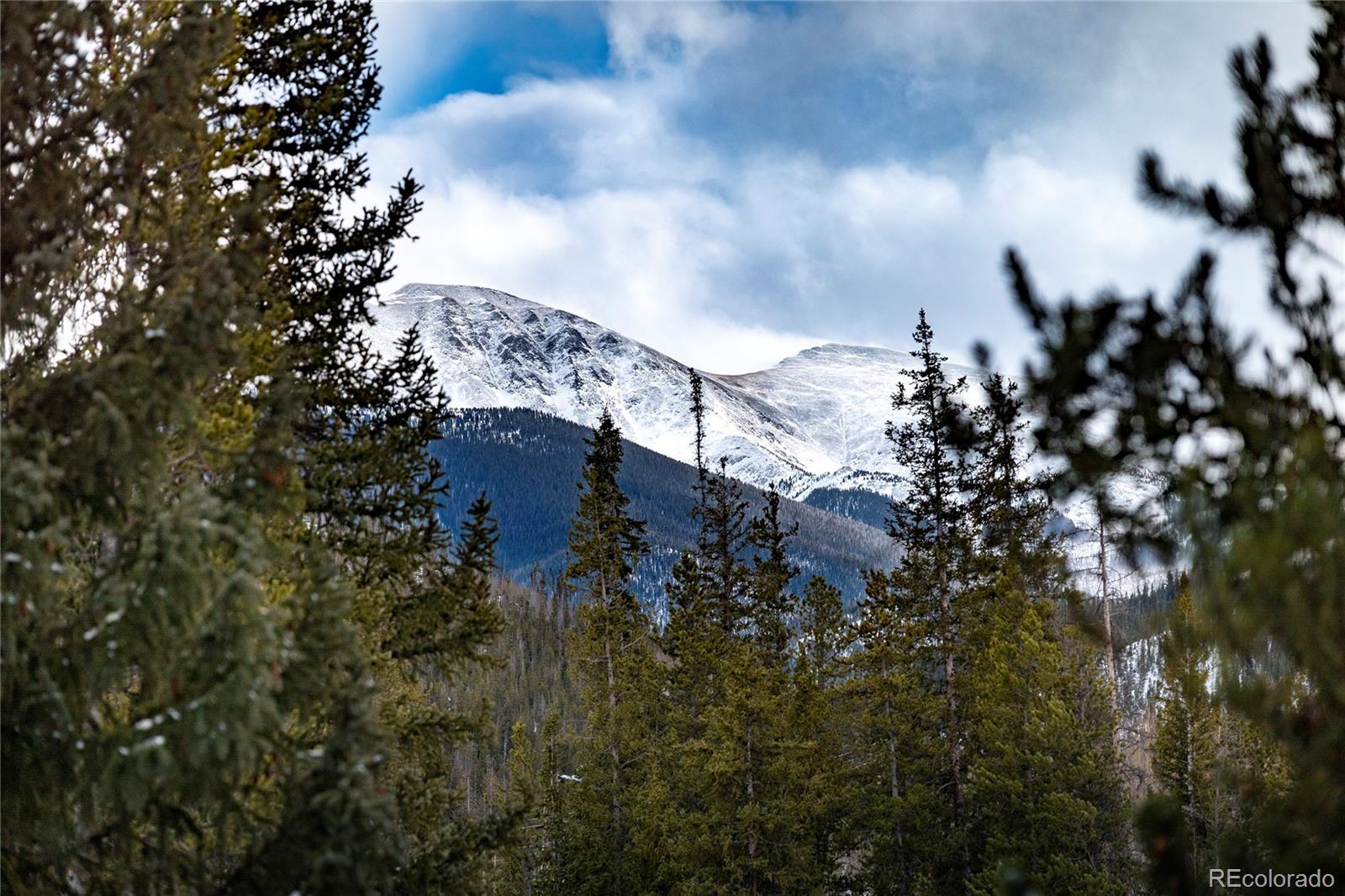 MLS Image #24 for 220  village drive,winter park, Colorado