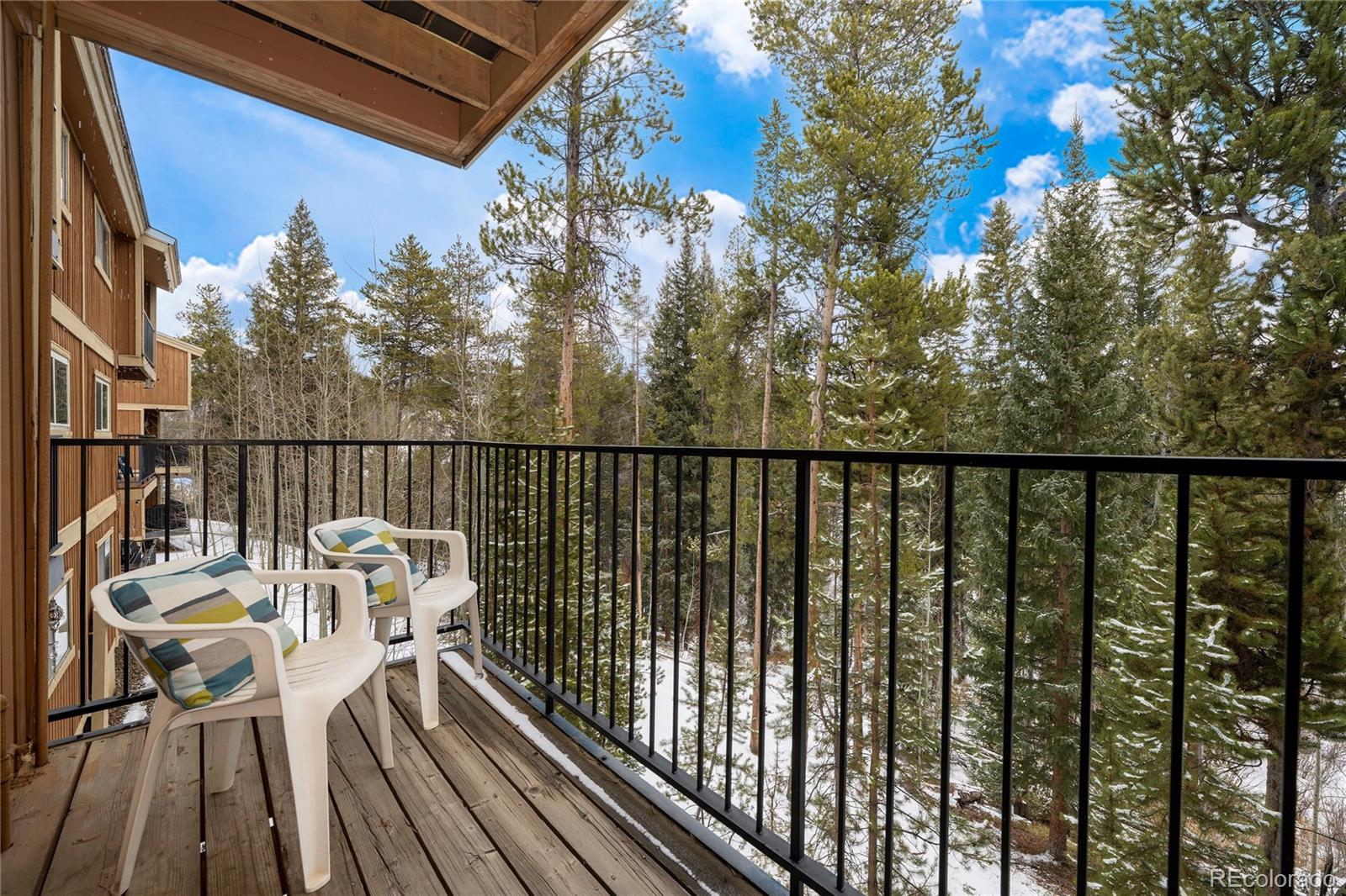 MLS Image #8 for 220  village drive,winter park, Colorado