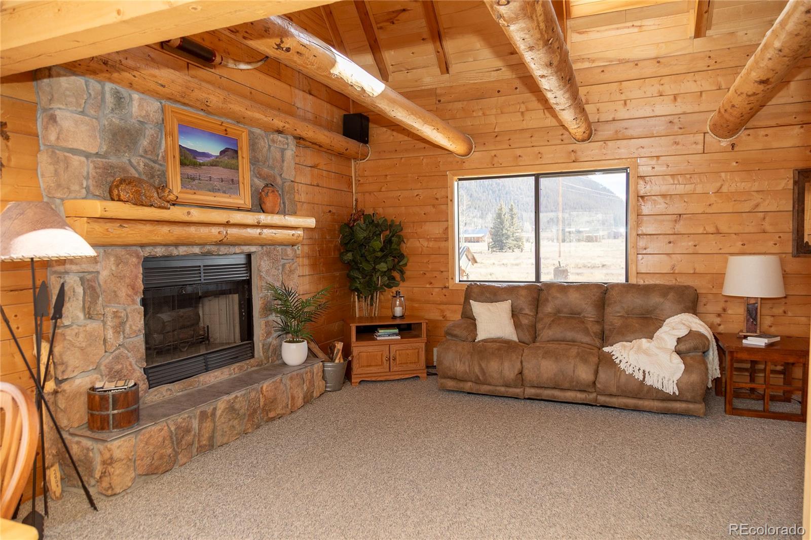 MLS Image #15 for 307  pine drive,creede, Colorado