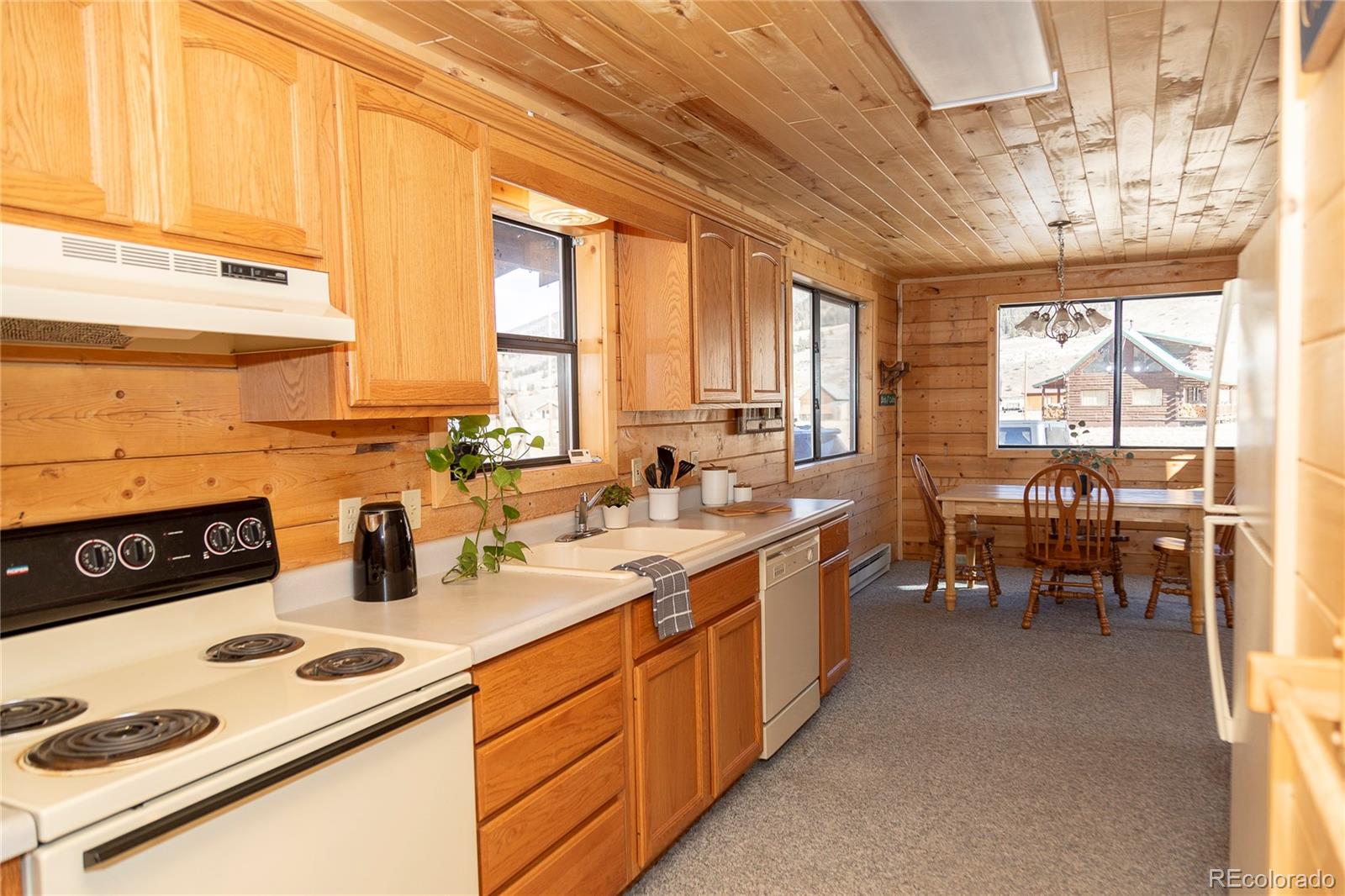 MLS Image #17 for 307  pine drive,creede, Colorado