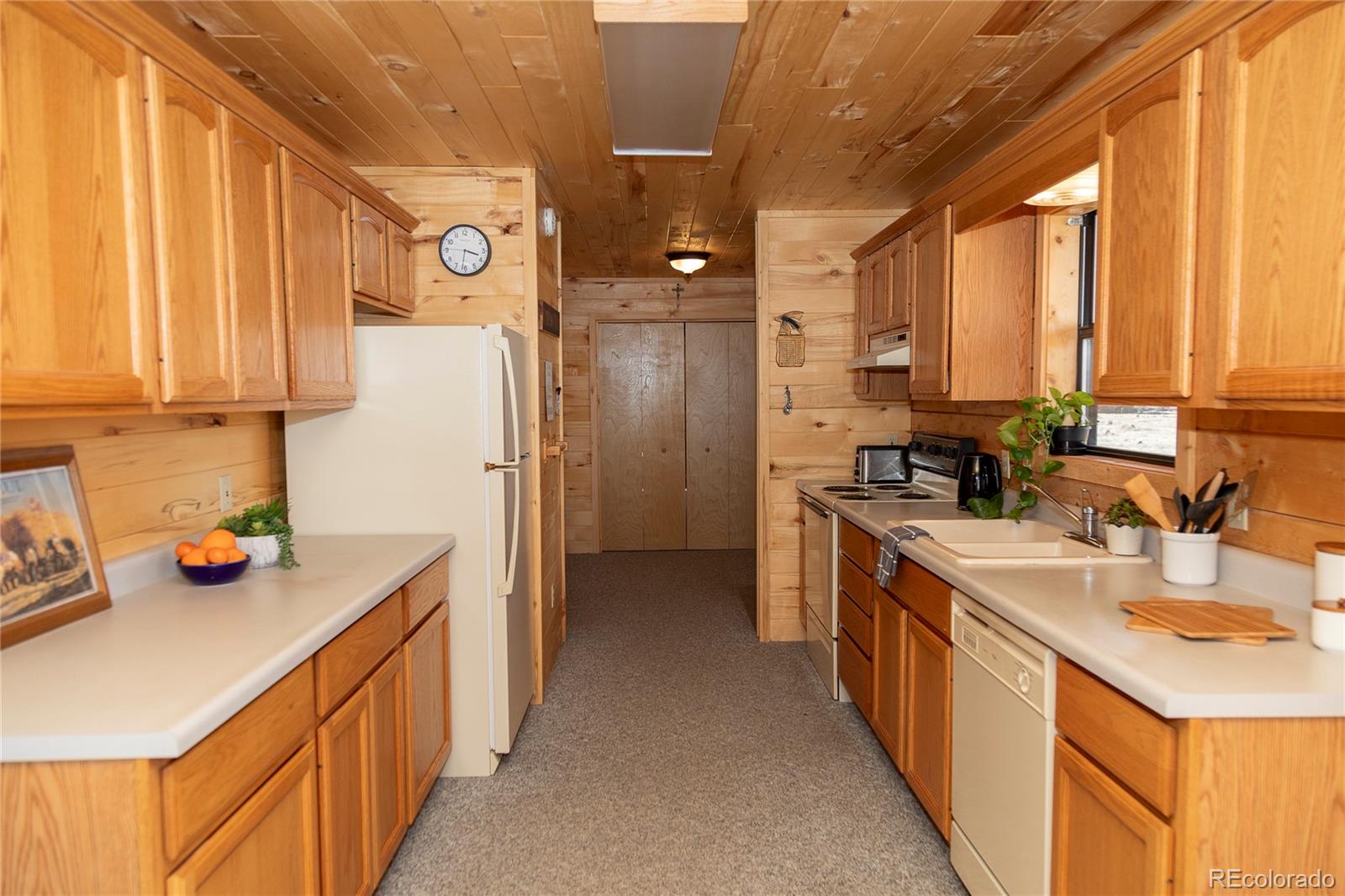 MLS Image #19 for 307  pine drive,creede, Colorado