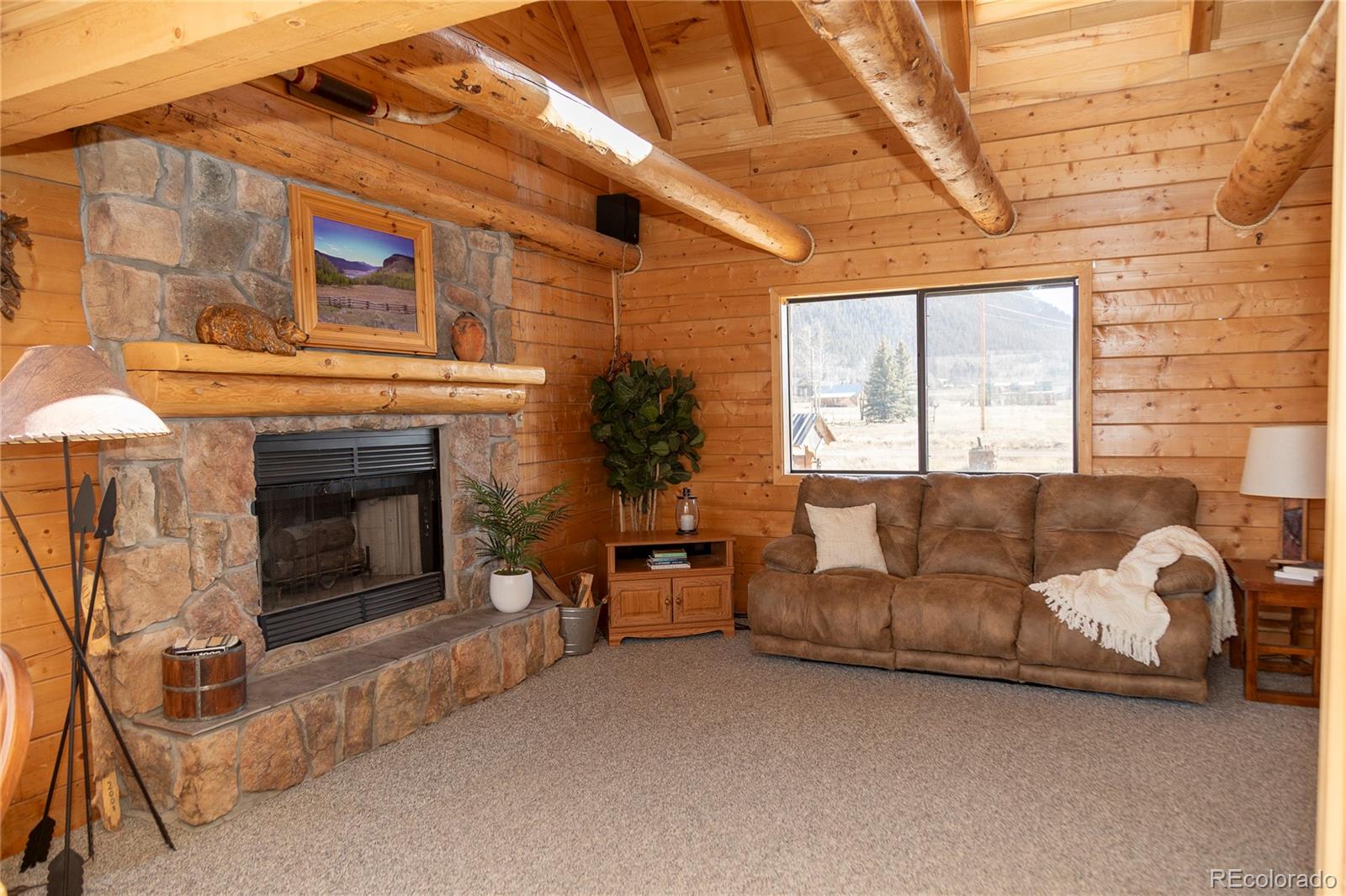 MLS Image #21 for 307  pine drive,creede, Colorado