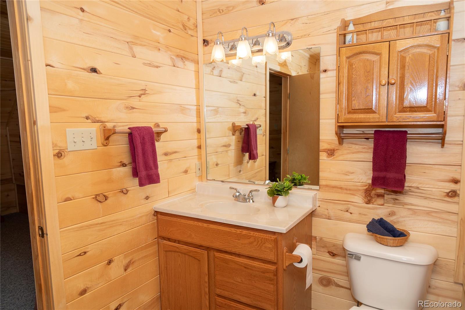 MLS Image #3 for 307  pine drive,creede, Colorado