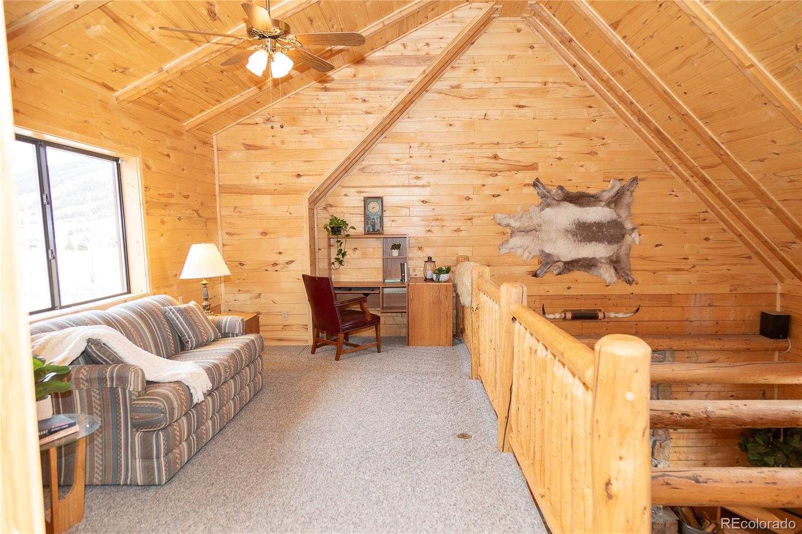 MLS Image #4 for 307  pine drive,creede, Colorado