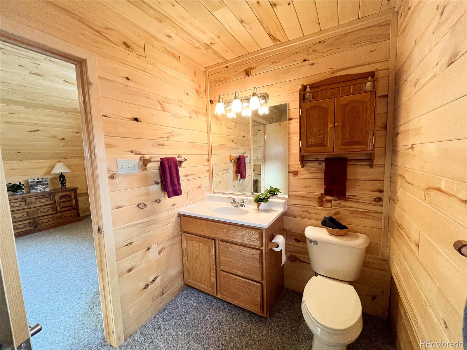 MLS Image #5 for 307  pine drive,creede, Colorado