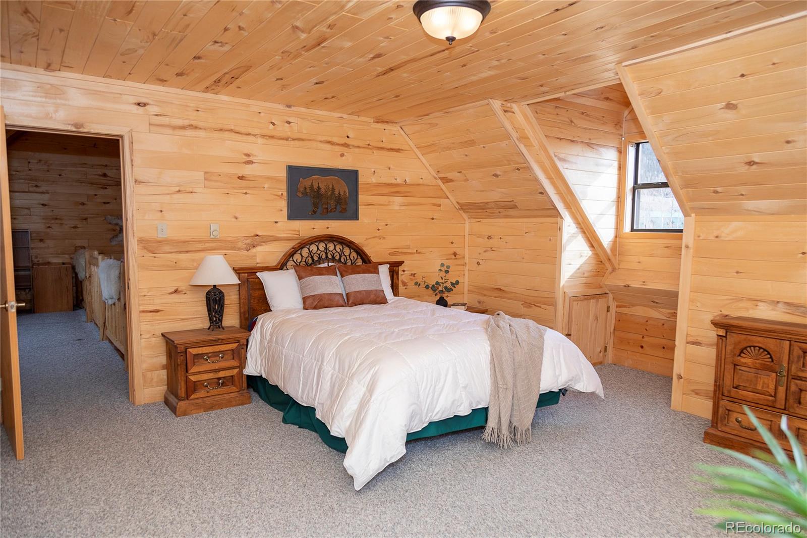MLS Image #7 for 307  pine drive,creede, Colorado