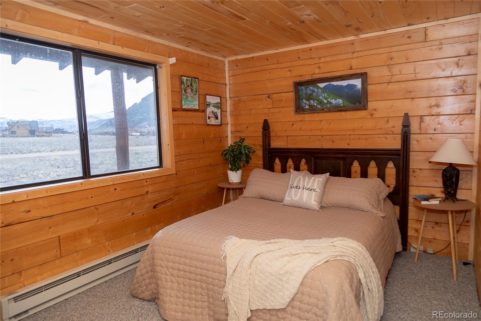 MLS Image #8 for 307  pine drive,creede, Colorado