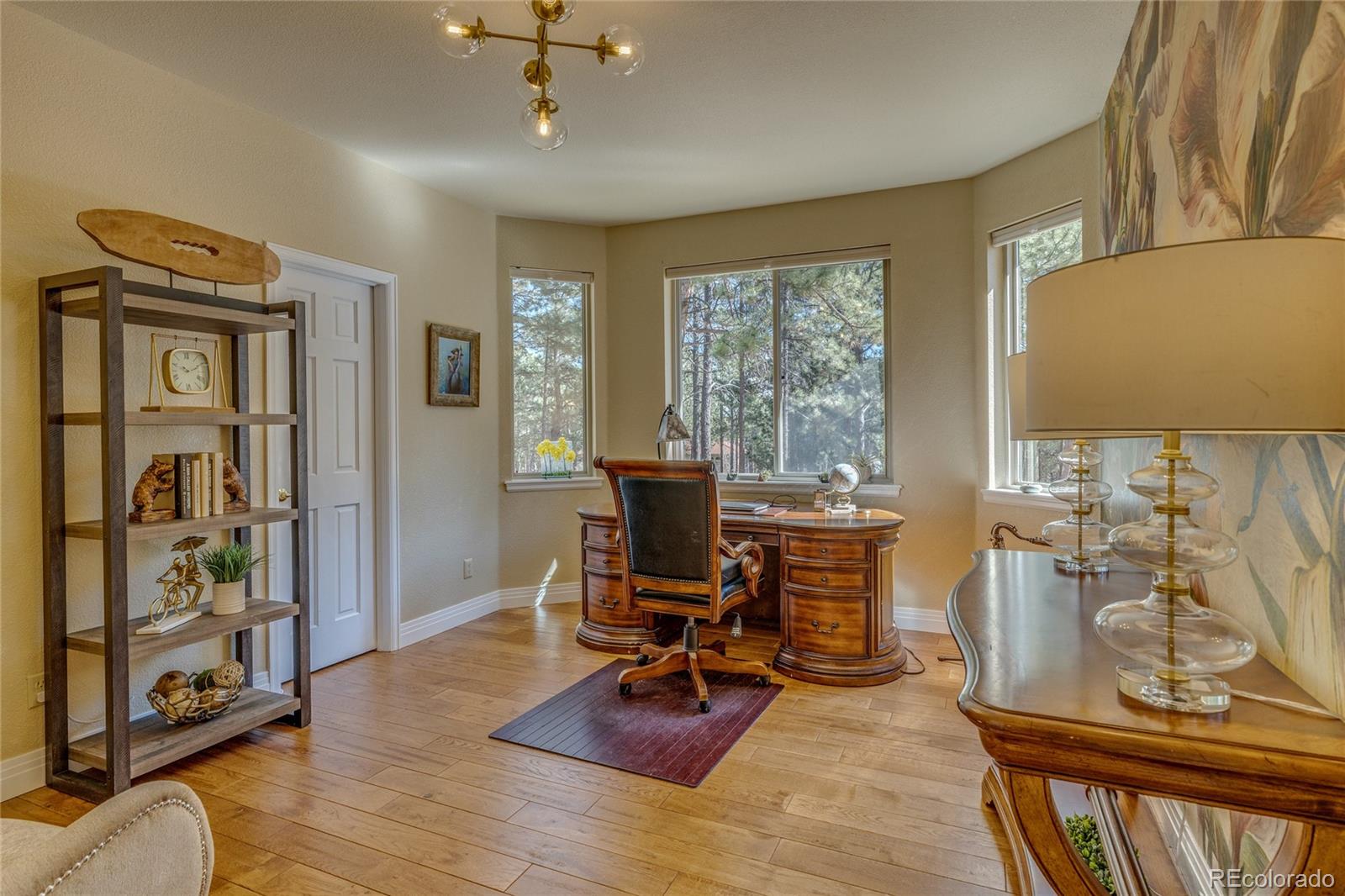 MLS Image #11 for 20320  roaming drive,colorado springs, Colorado
