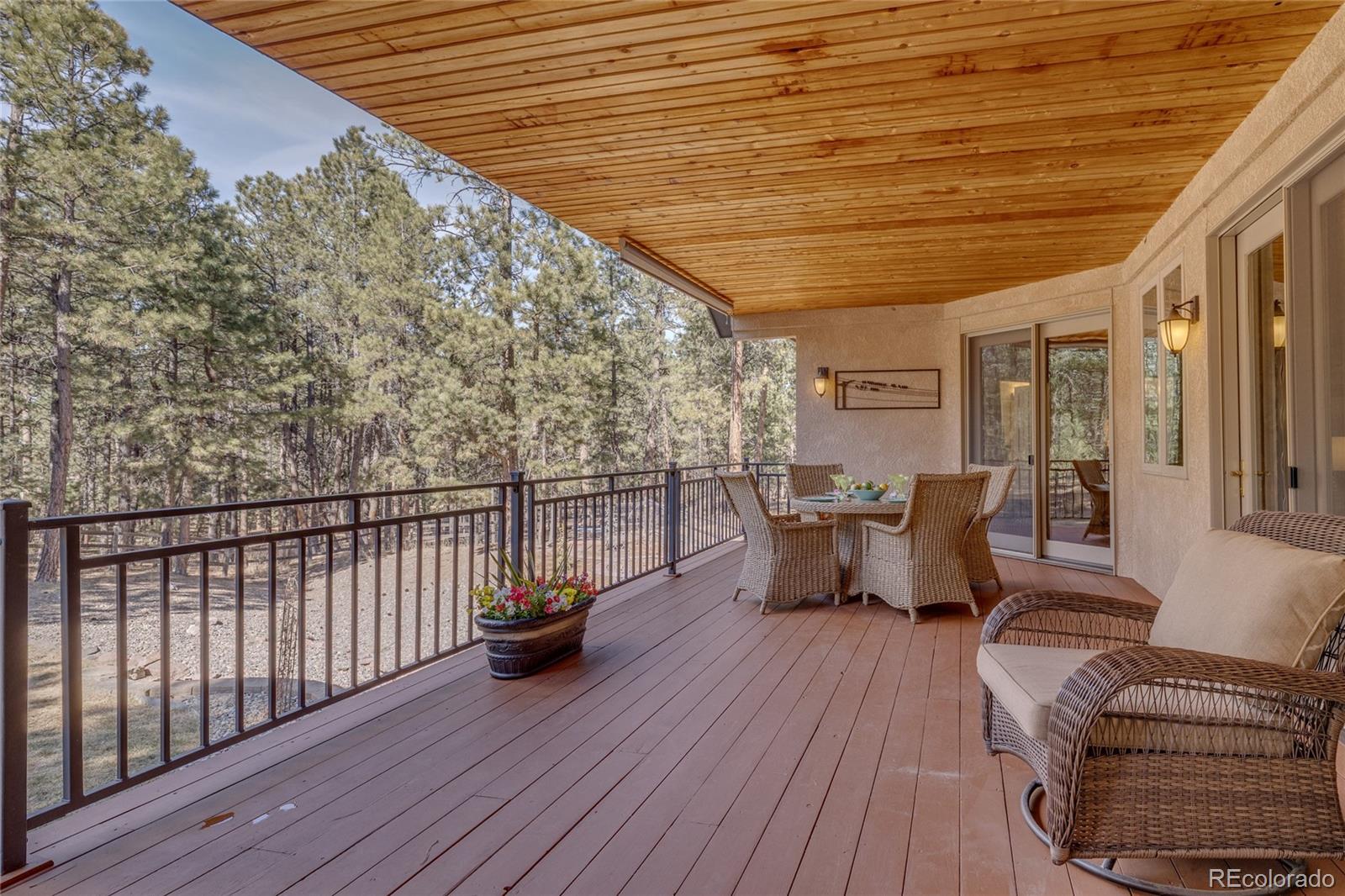 MLS Image #22 for 20320  roaming drive,colorado springs, Colorado