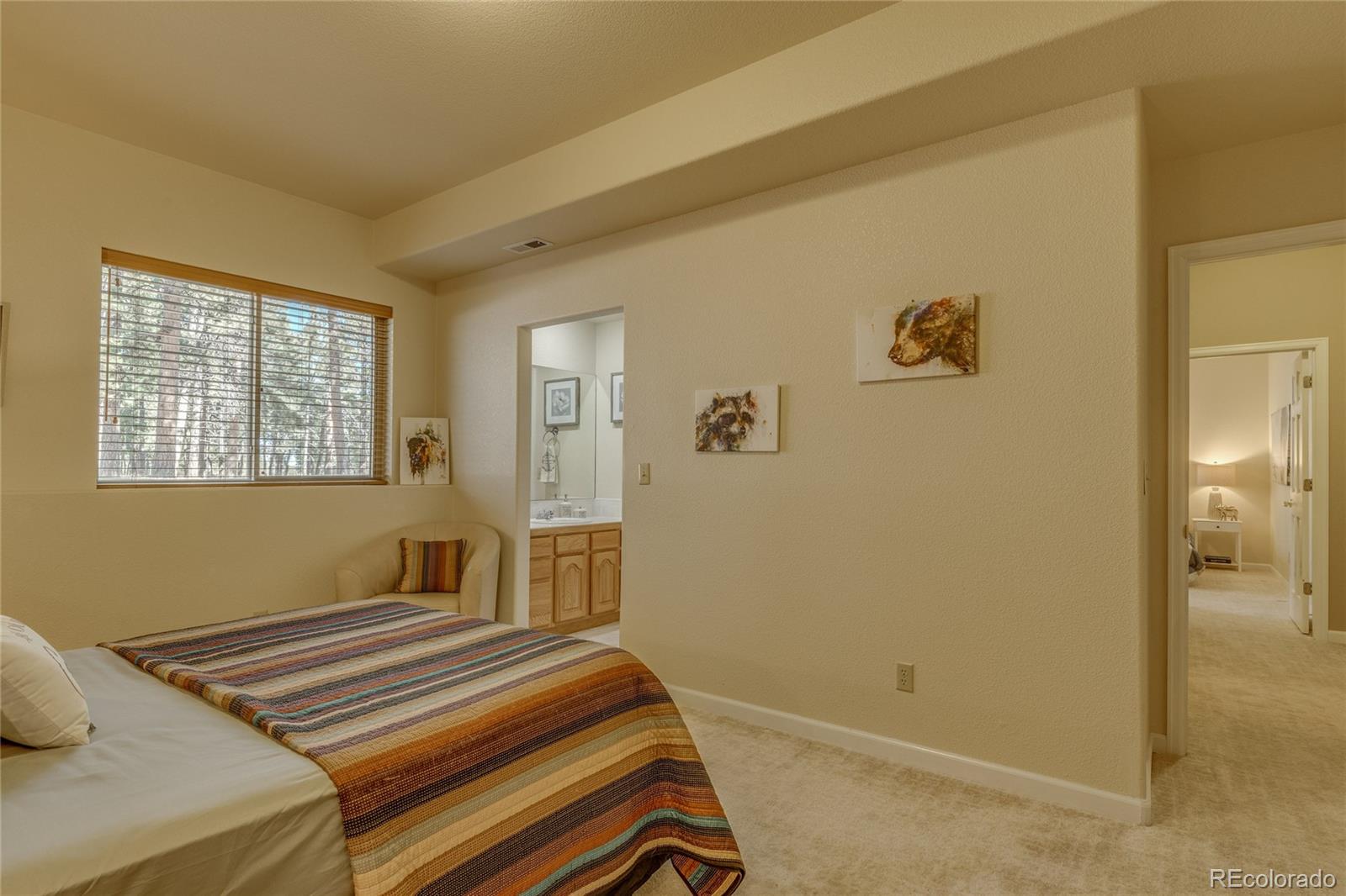 MLS Image #34 for 20320  roaming drive,colorado springs, Colorado