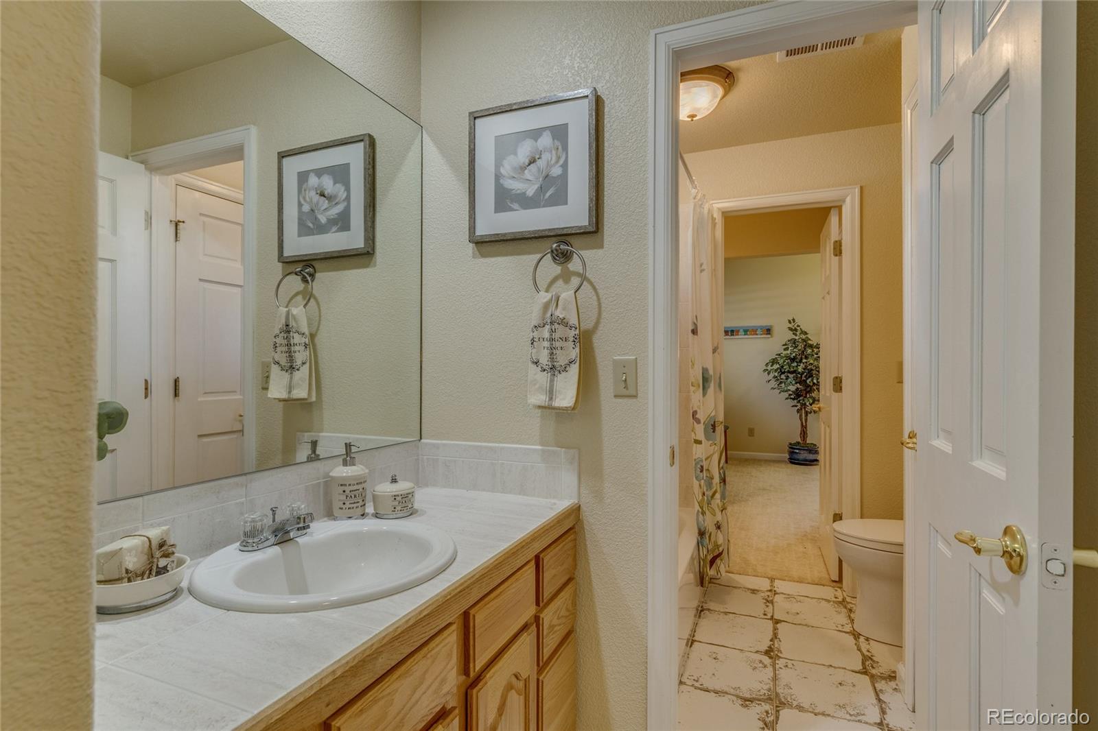 MLS Image #35 for 20320  roaming drive,colorado springs, Colorado