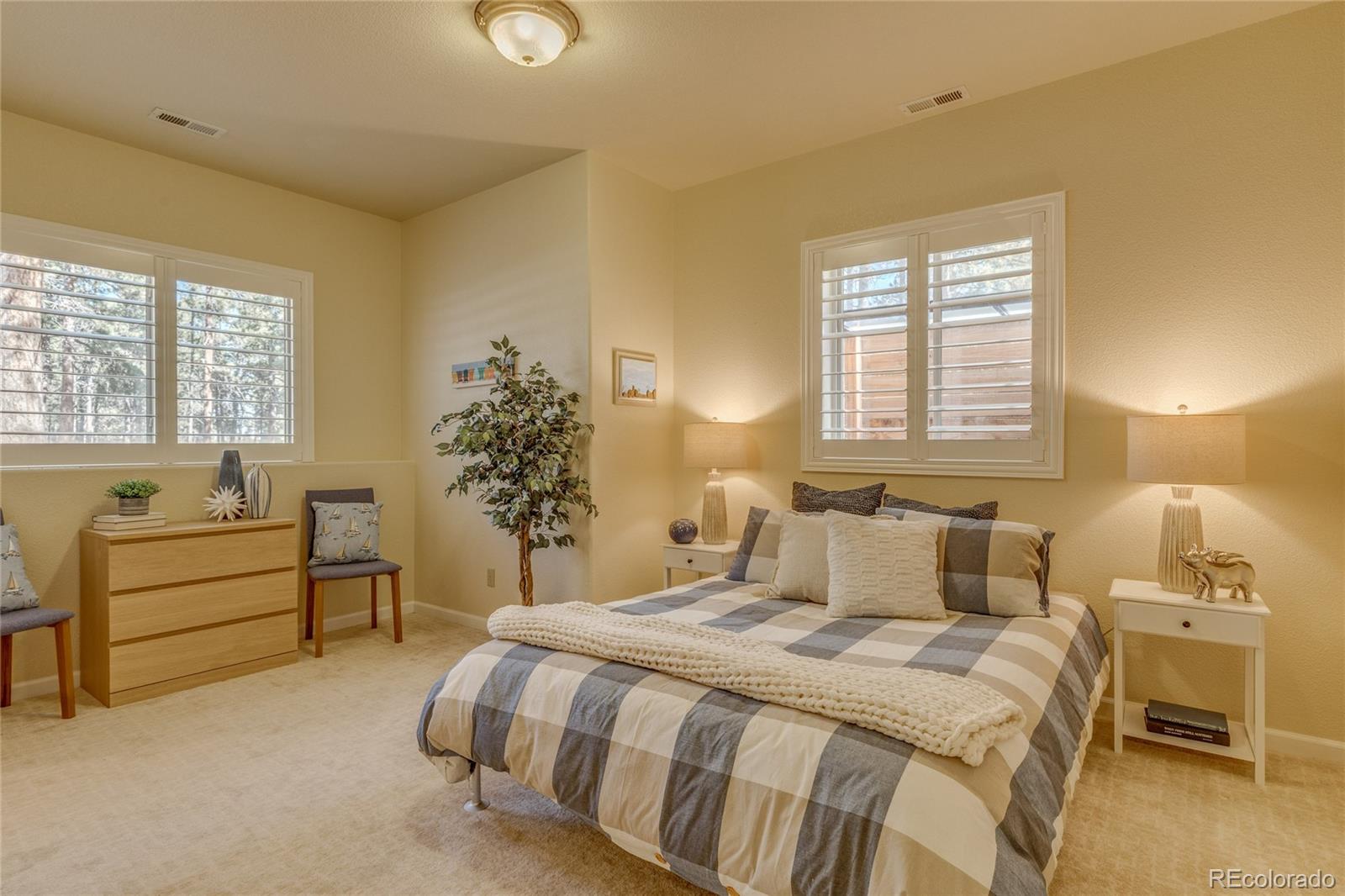 MLS Image #36 for 20320  roaming drive,colorado springs, Colorado