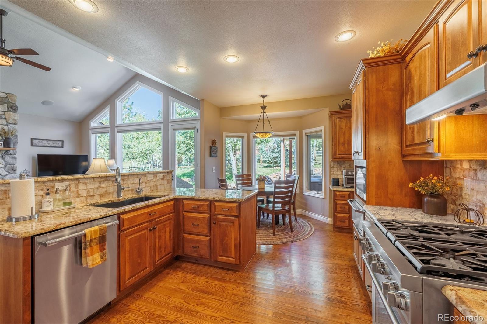 MLS Image #13 for 1035  parkway lane,woodland park, Colorado