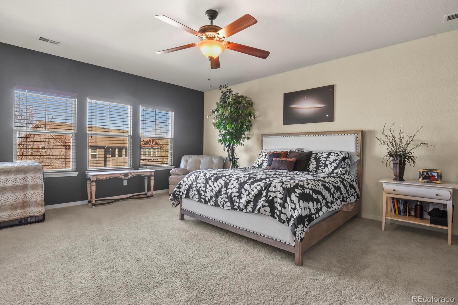 MLS Image #17 for 2325  ridgetrail drive,castle rock, Colorado