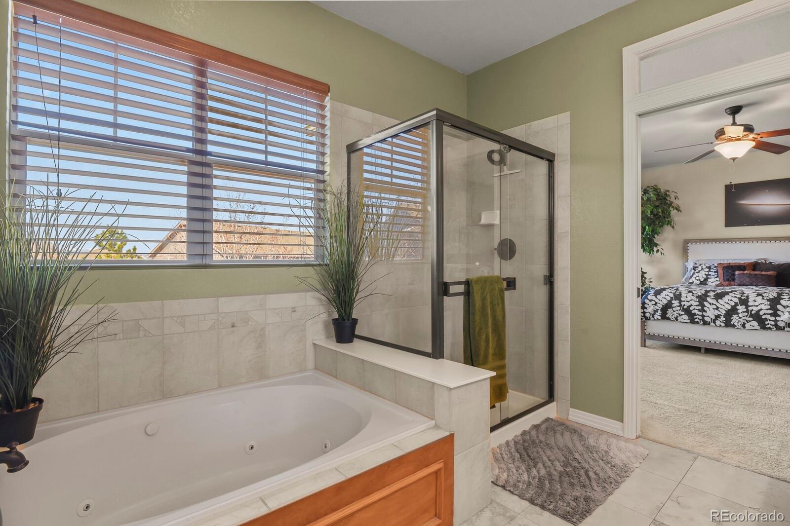 MLS Image #20 for 2325  ridgetrail drive,castle rock, Colorado