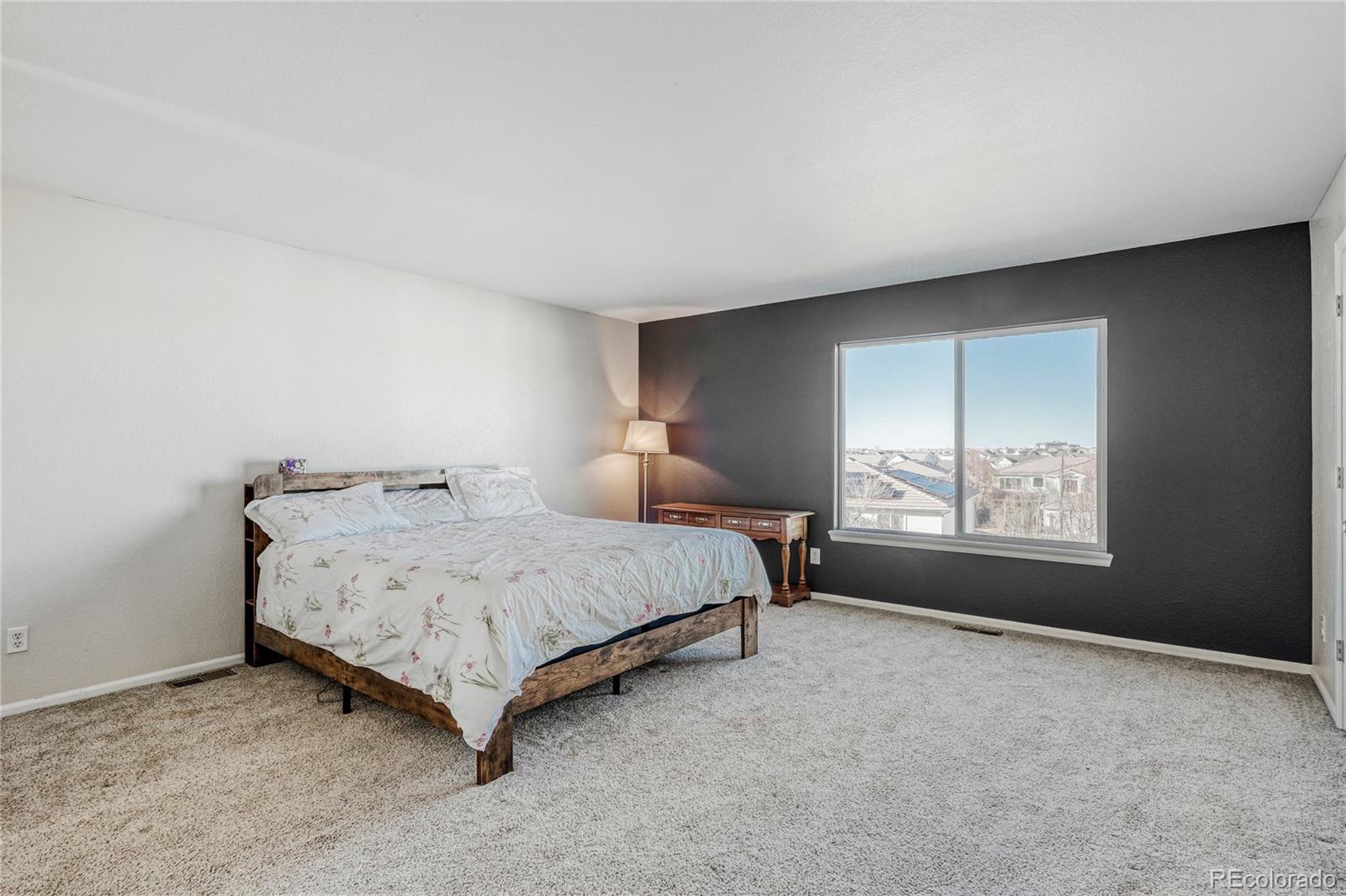 MLS Image #11 for 20591 e 48th place,denver, Colorado