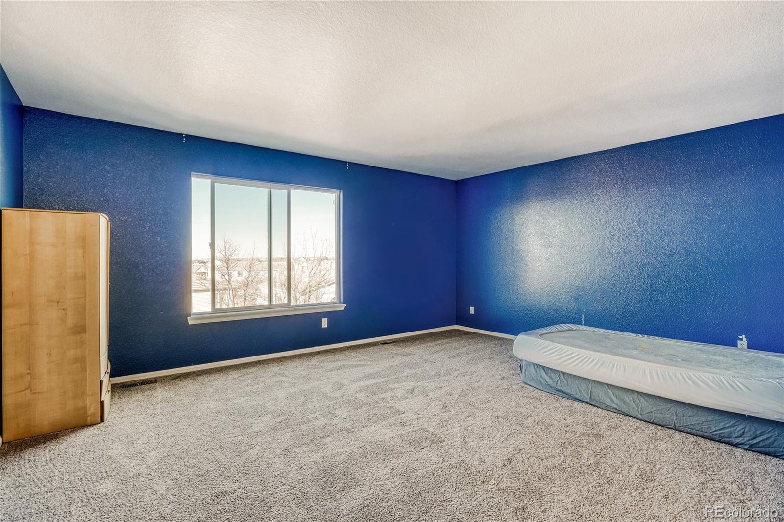 MLS Image #16 for 20591 e 48th place,denver, Colorado