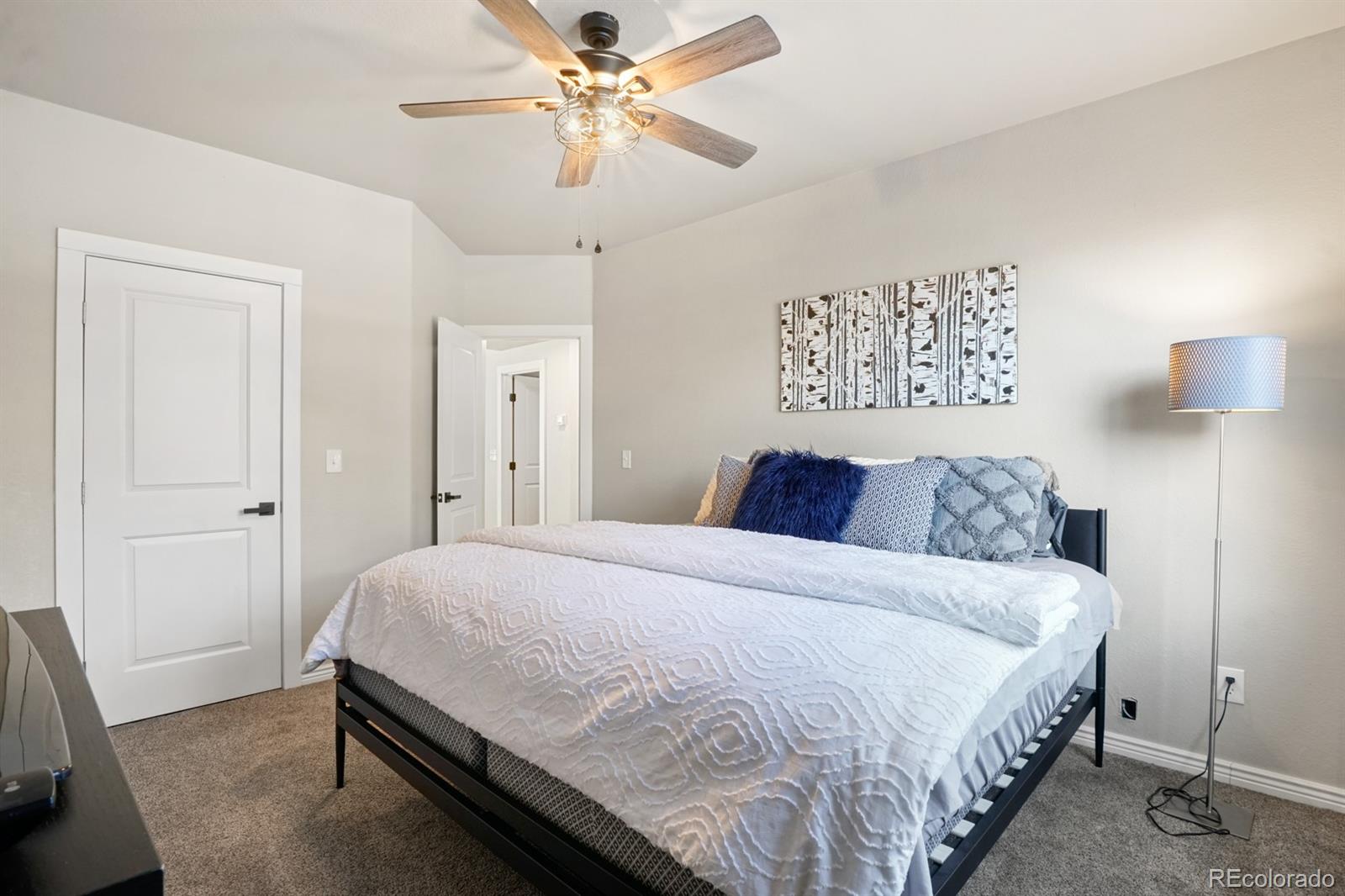 MLS Image #29 for 2565  dunfries court,colorado springs, Colorado