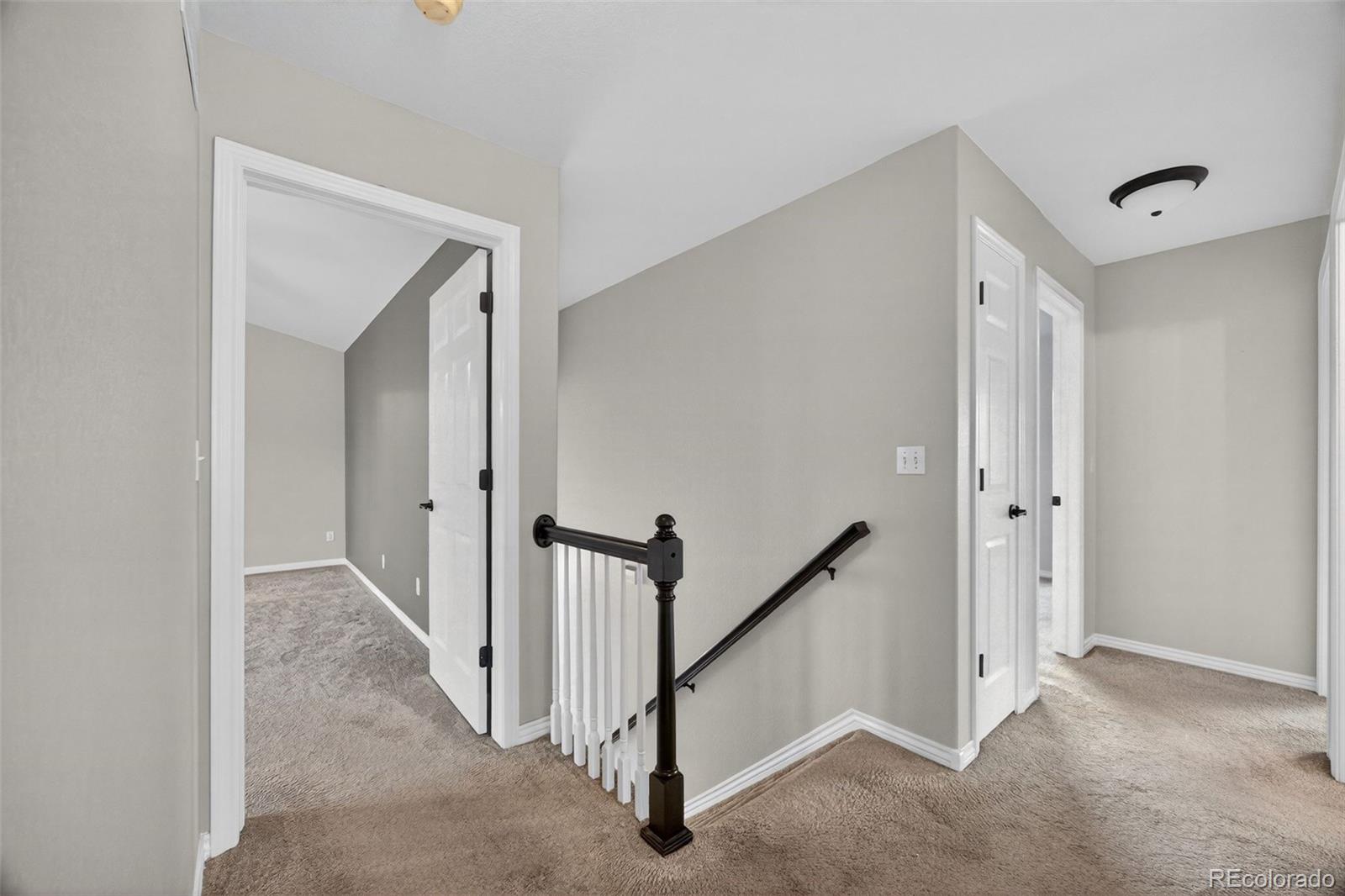 MLS Image #17 for 531  saber creek drive,monument, Colorado