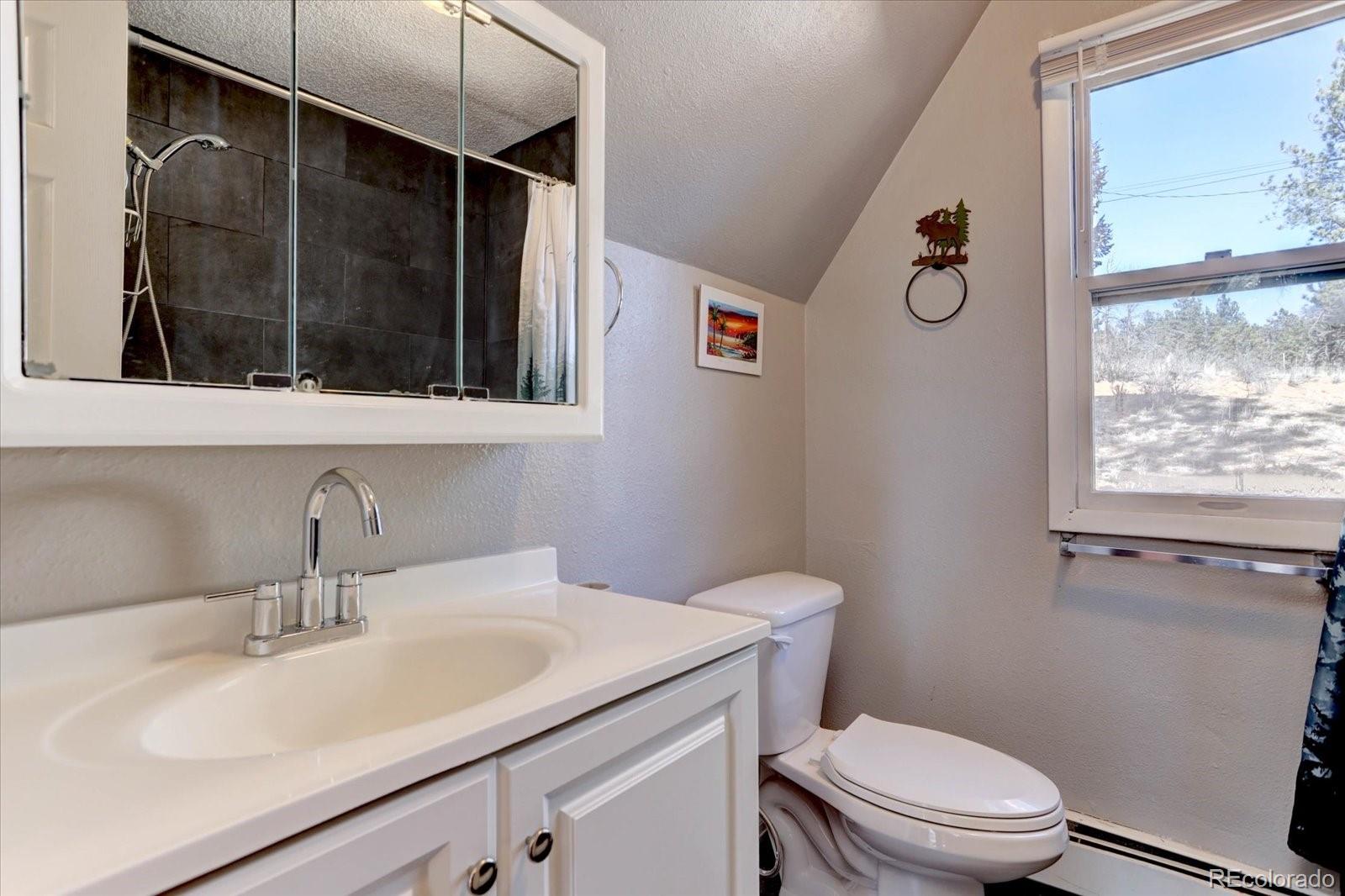 MLS Image #12 for 33350  beverly road,pine, Colorado