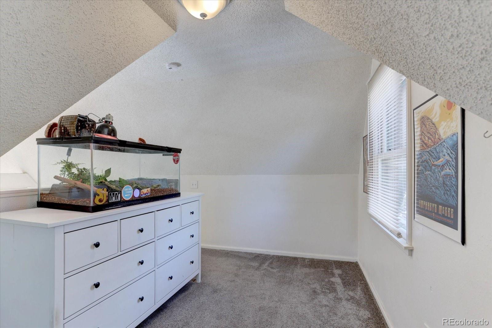 MLS Image #15 for 33350  beverly road,pine, Colorado