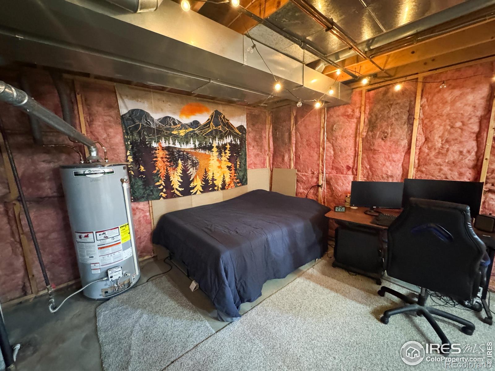 MLS Image #17 for 2313  notting hill place,loveland, Colorado