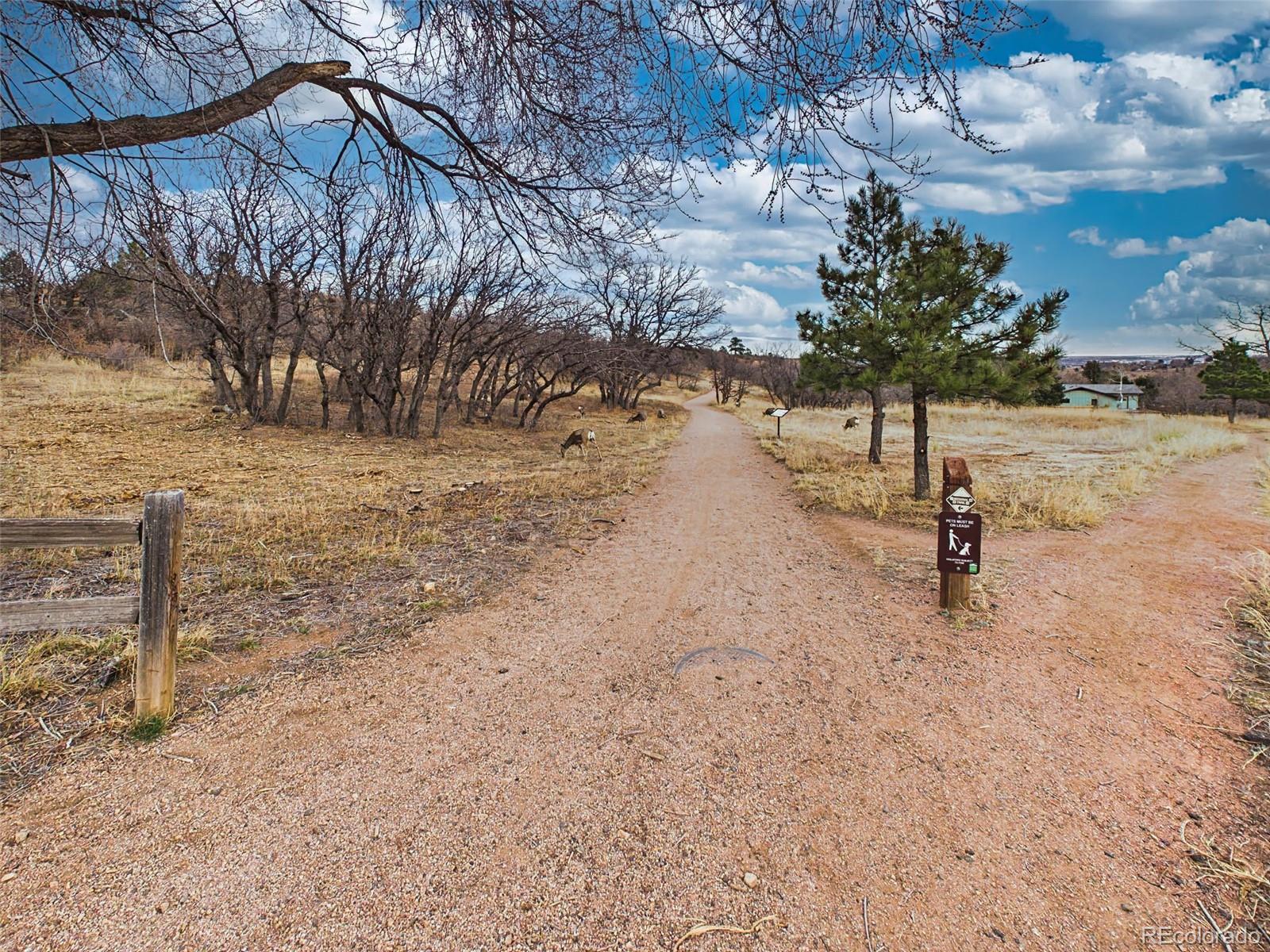 MLS Image #48 for 2771  rigel drive,colorado springs, Colorado