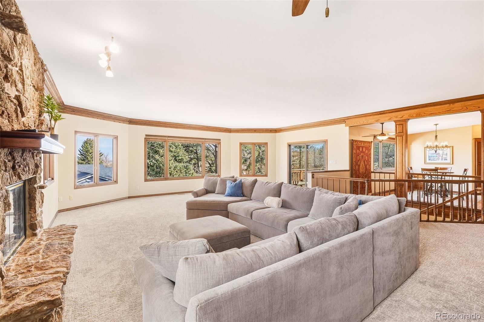 MLS Image #7 for 2771  rigel drive,colorado springs, Colorado