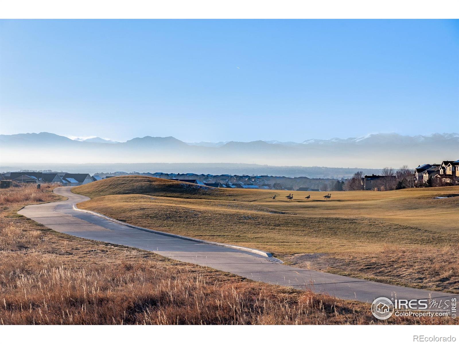 MLS Image #46 for 2257  dogwood drive,erie, Colorado