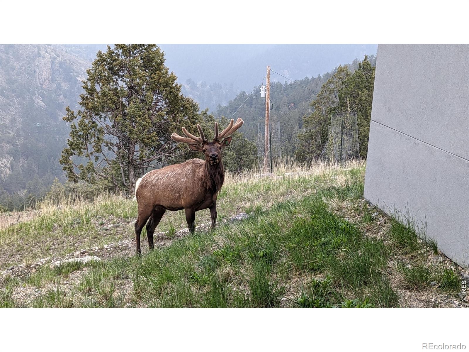 MLS Image #45 for 1068  elkridge drive,glen haven, Colorado