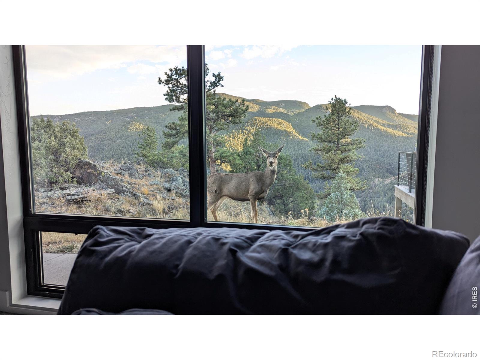 MLS Image #46 for 1068  elkridge drive,glen haven, Colorado