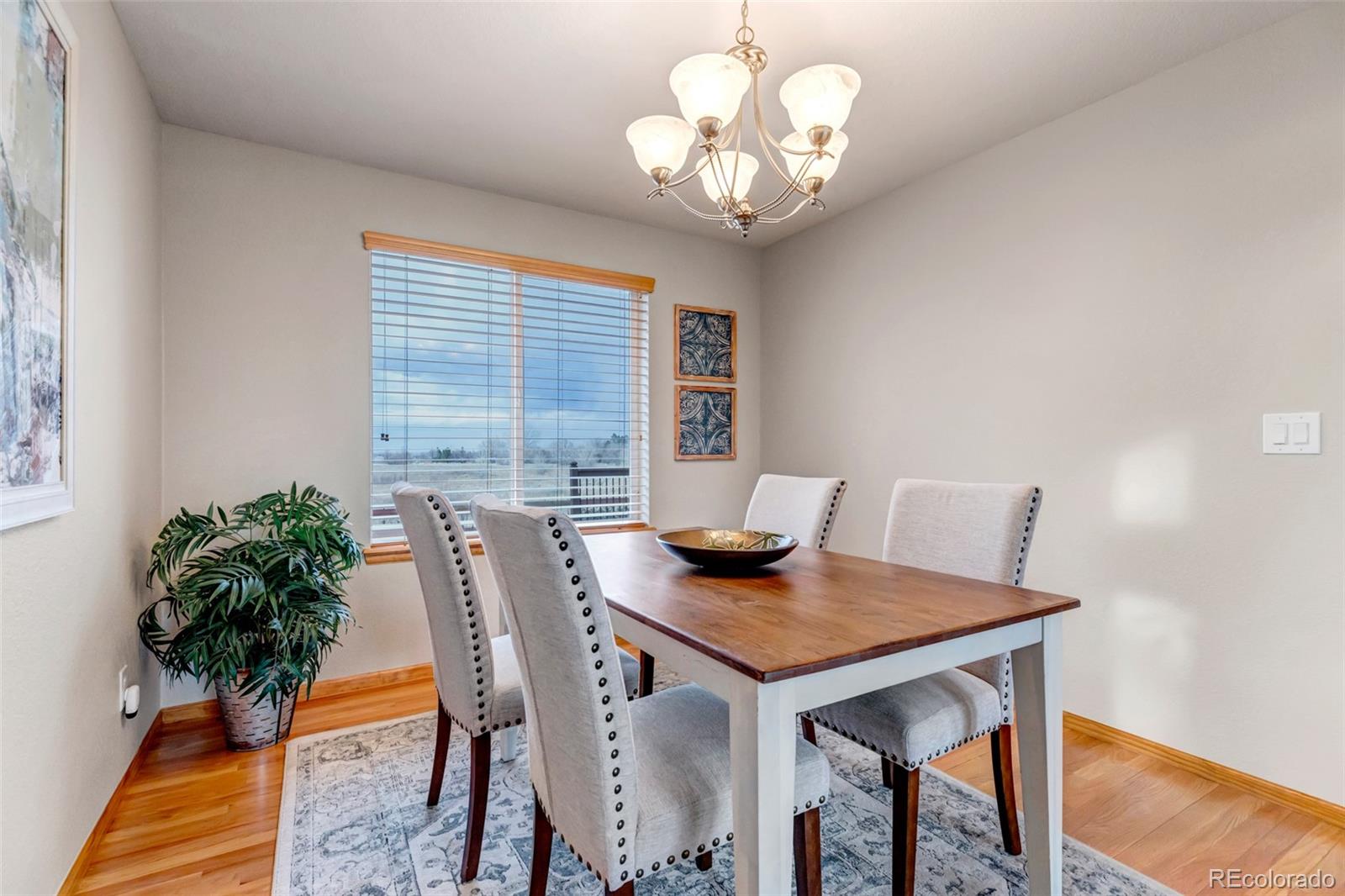 MLS Image #17 for 1265  mcgregor circle,erie, Colorado