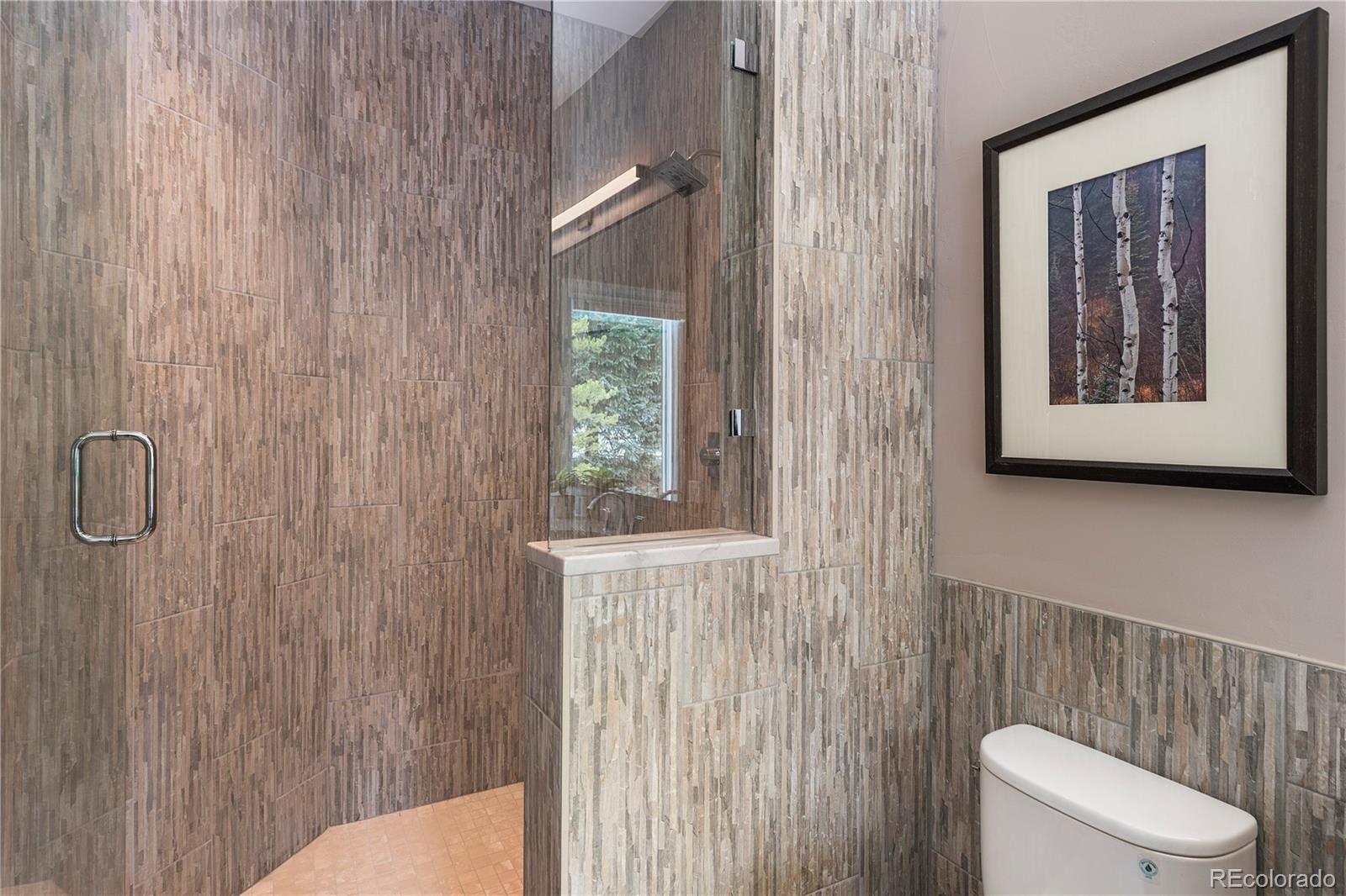 MLS Image #17 for 818  broken lance drive ,breckenridge, Colorado