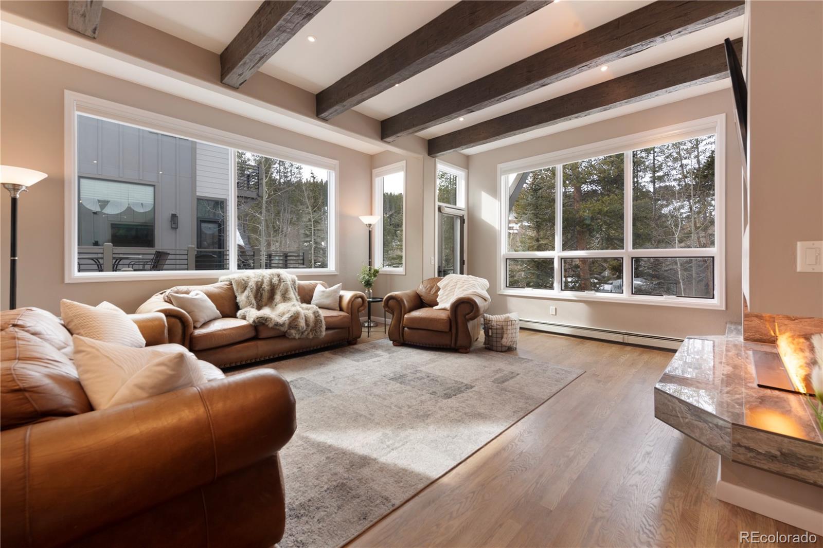 MLS Image #4 for 818  broken lance drive ,breckenridge, Colorado