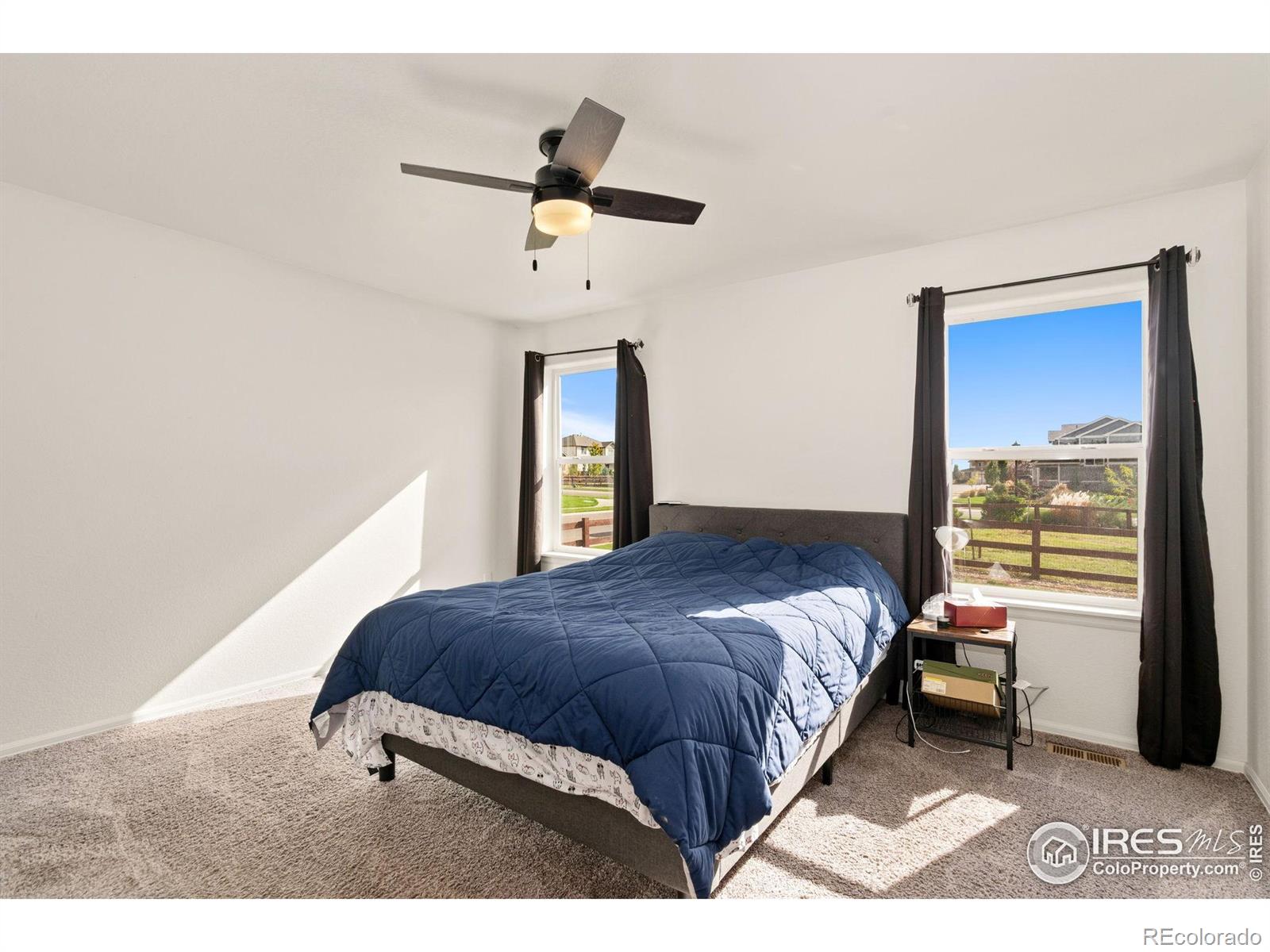 MLS Image #13 for 1813  garden flourish court,windsor, Colorado