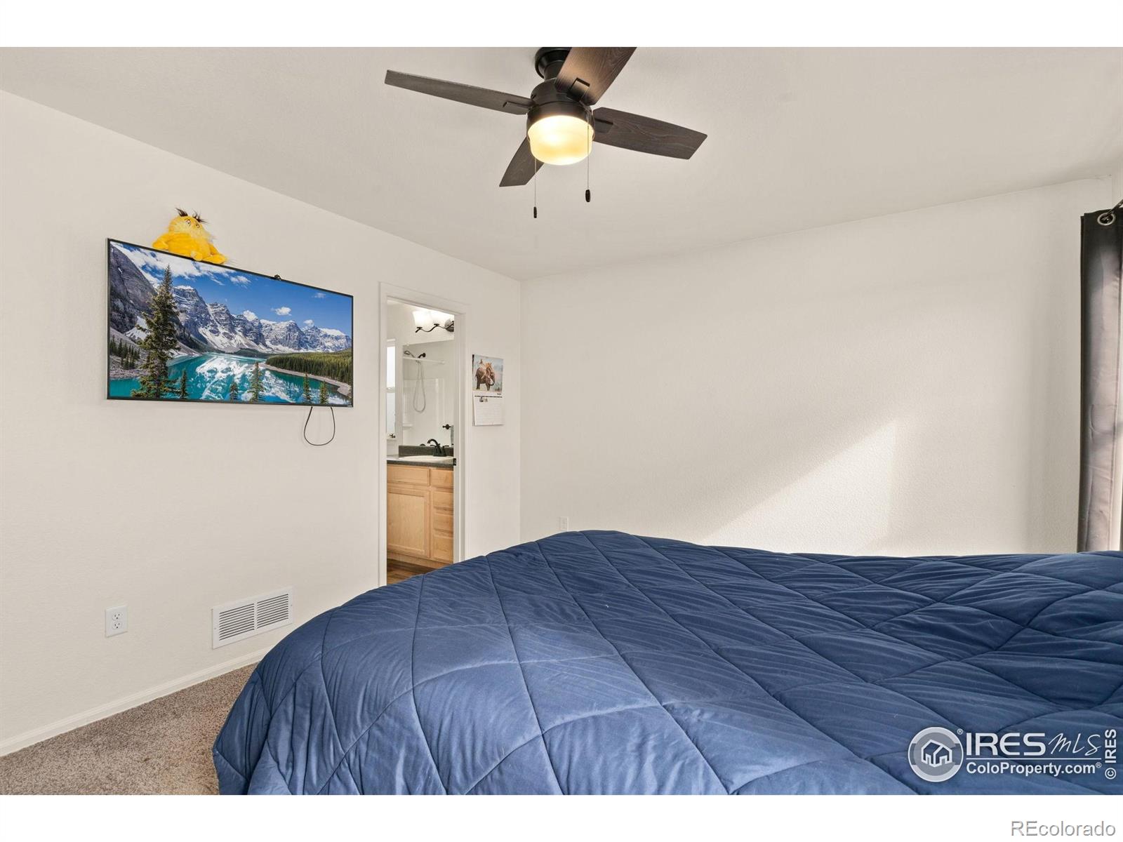 MLS Image #14 for 1813  garden flourish court,windsor, Colorado