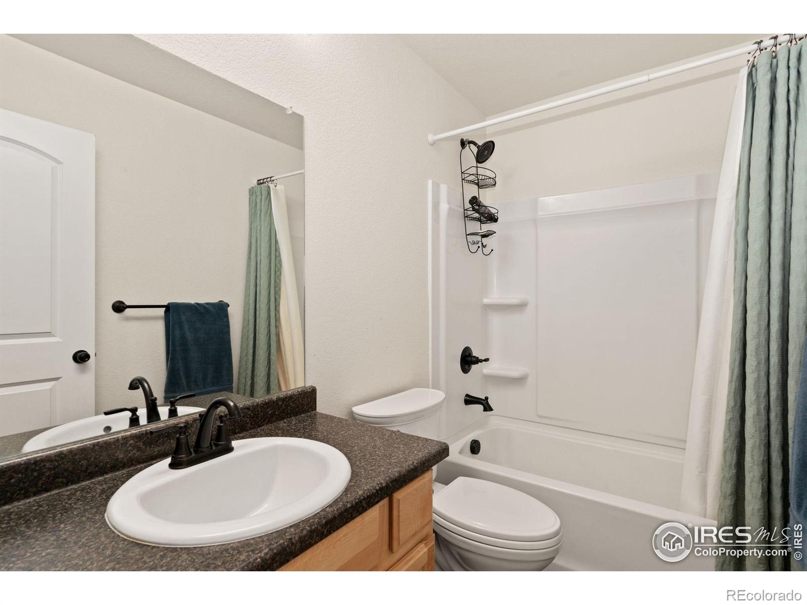 MLS Image #19 for 1813  garden flourish court,windsor, Colorado