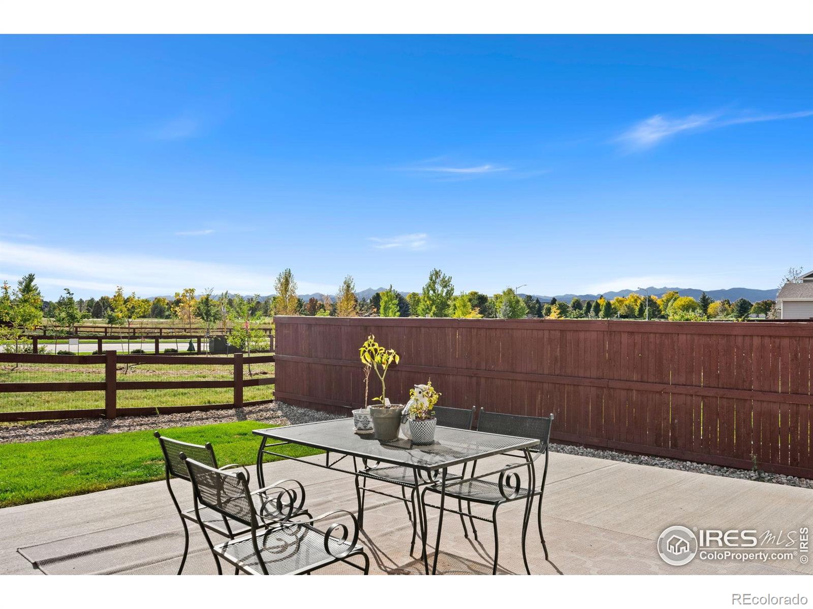 MLS Image #3 for 1813  garden flourish court,windsor, Colorado