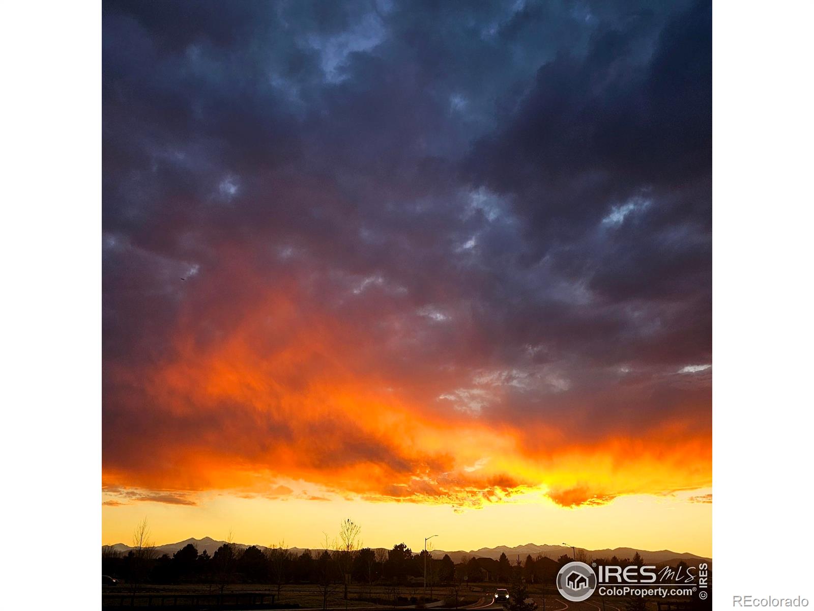 MLS Image #39 for 1813  garden flourish court,windsor, Colorado