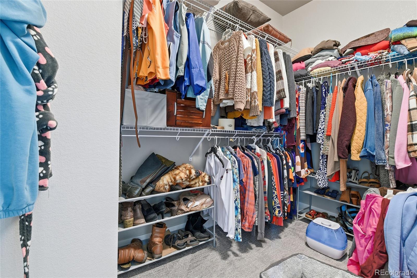 MLS Image #26 for 6844  bethany drive,parker, Colorado