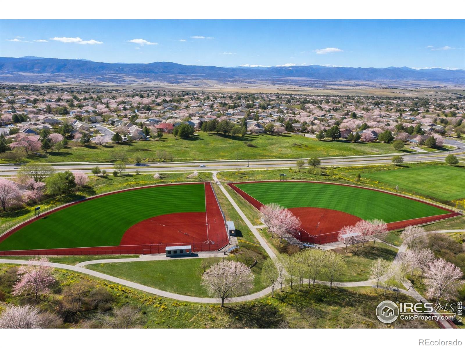 MLS Image #38 for 3418  fantasy place,castle rock, Colorado