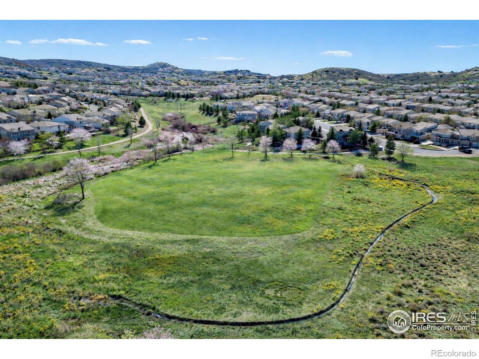 MLS Image #39 for 3418  fantasy place,castle rock, Colorado