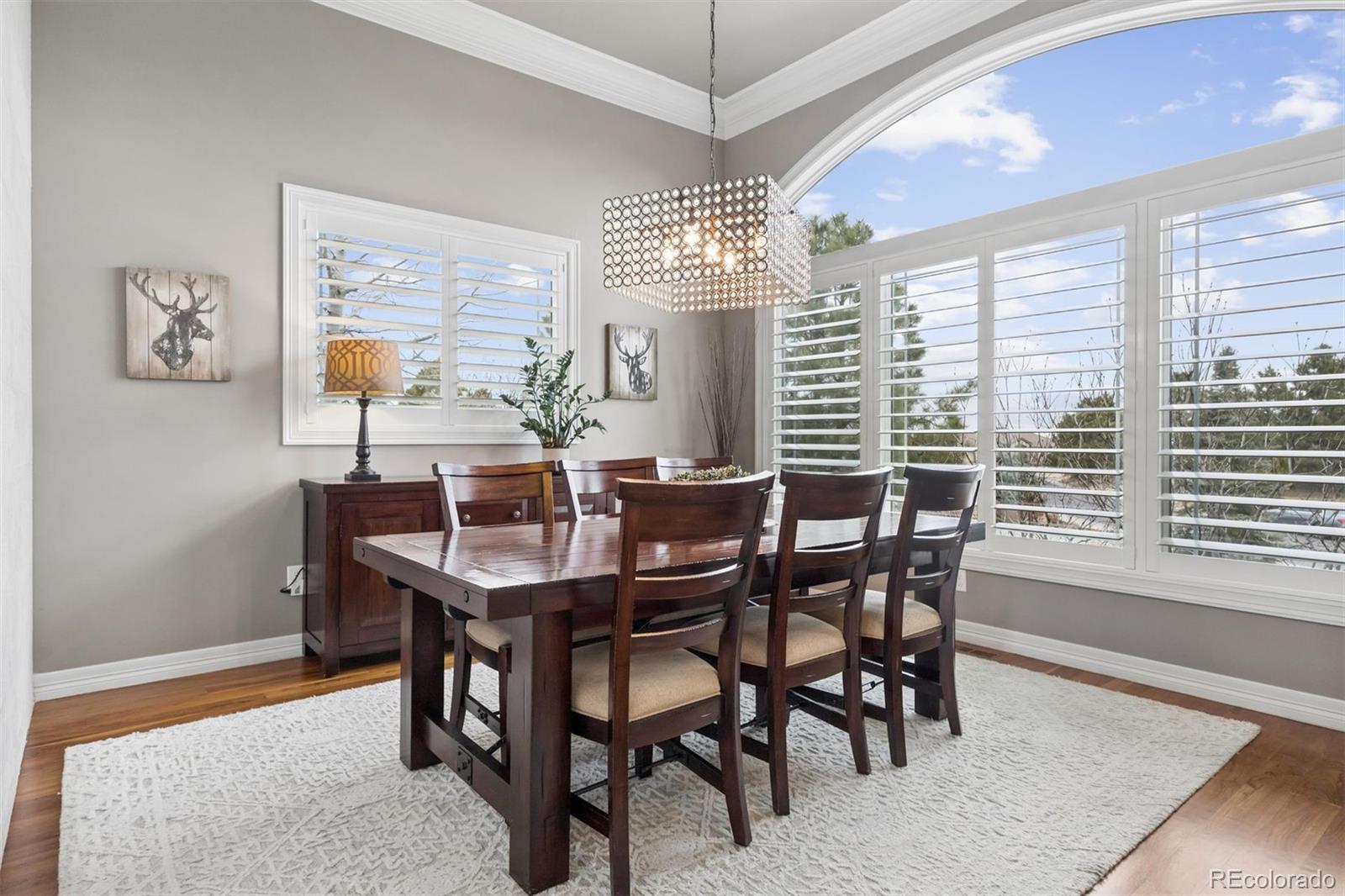 MLS Image #16 for 6719  tremolite drive,castle rock, Colorado